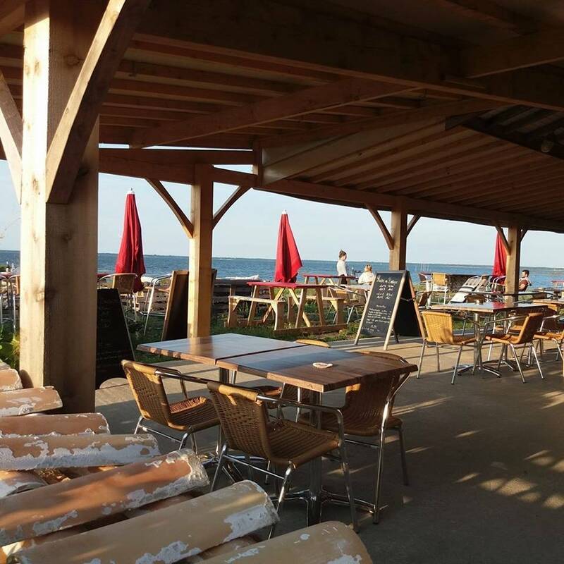 La Cabane des Jaud accepte les chiens à Gujan-Mestras