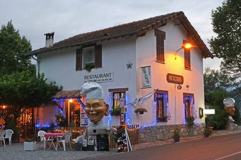 La Capeline accepte les chiens à Toudon