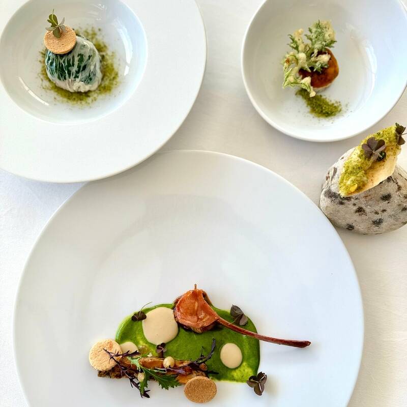 L'Olivier accepte les chiens à Pertuis