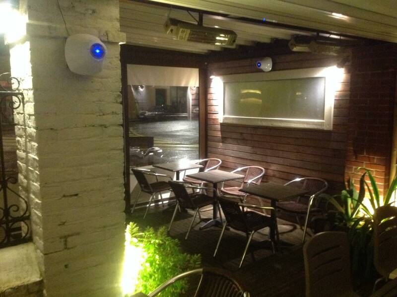 La Loonja accepte les chiens à Ville de Lisieux