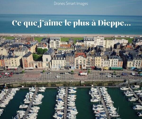 L'haumea accepte les chiens à Dieppe