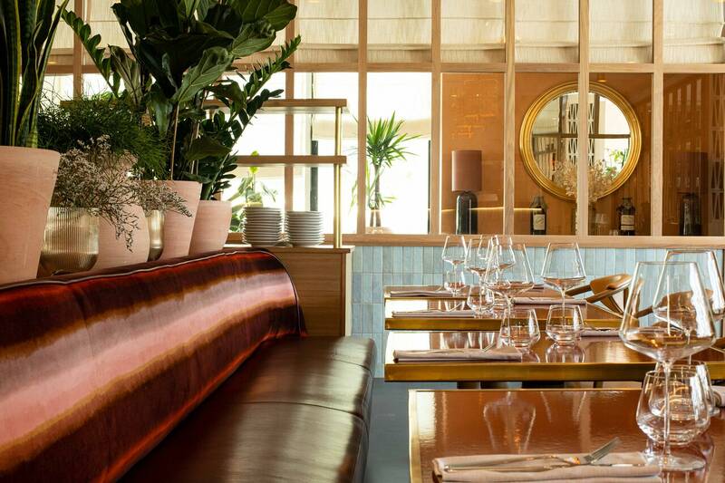 Marloe Biarritz accepte les chiens à Biarritz