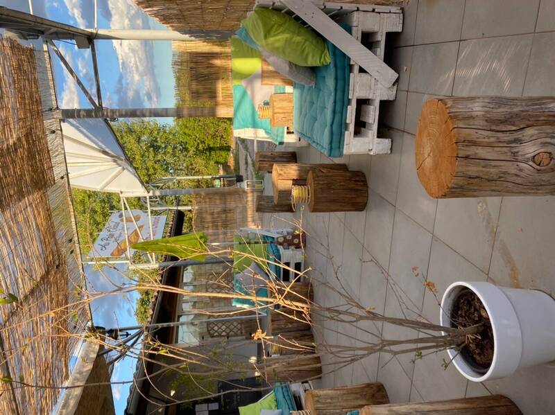 Le Cosmopolitain accepte les chiens à Vallon-Pont-d'Arc