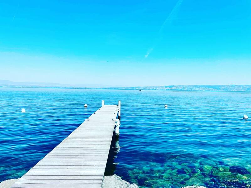 Hostellerie du Lac accepte les chiens à Neuvecelle