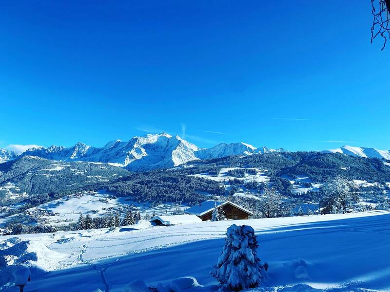 Au Petit Cuchet accepte les chiens à Combloux