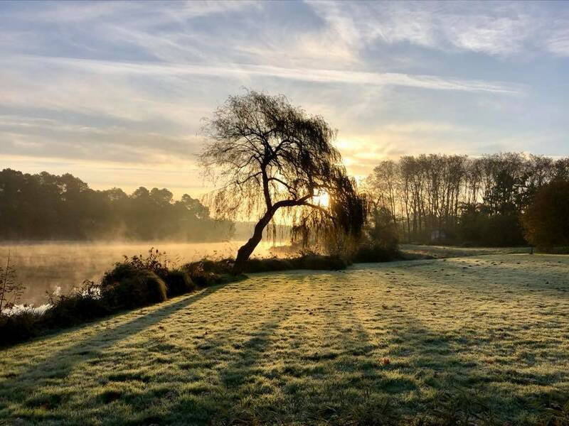 La Forge accepte les chiens à Uza