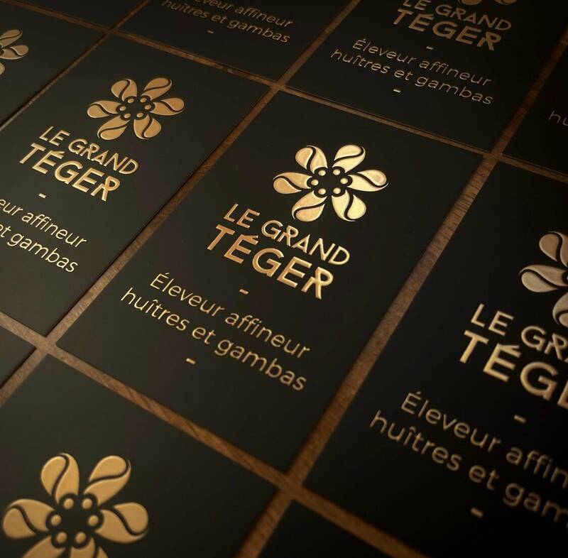 Le Grand Téger accepte les chiens à Mornac-sur-Seudre