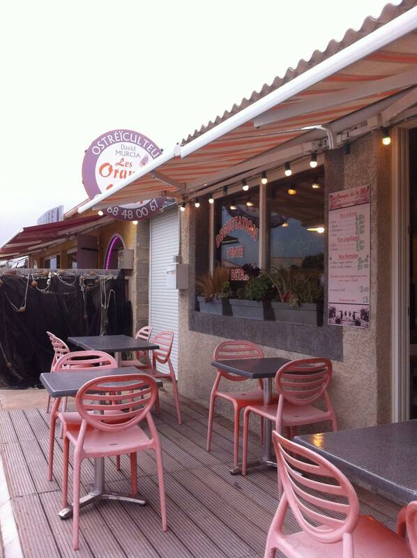 Le Petit Bigorneau accepte les chiens à Port Leucate