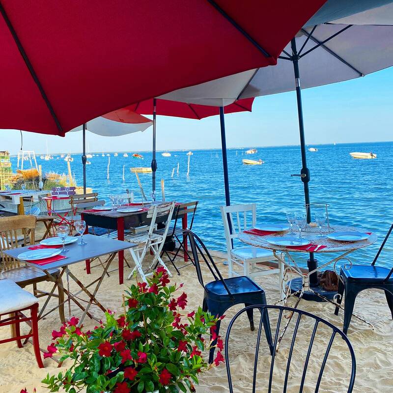 Le Petit Chenal accepte les chiens à Lège-Cap-Ferret