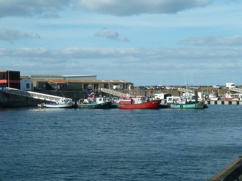La Cormaroune accepte les chiens à Noirmoutier-en-l'Île