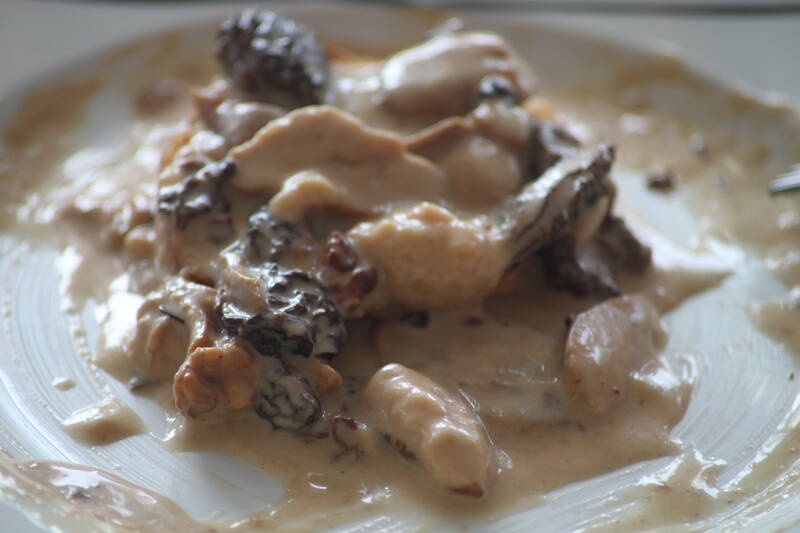 LE PRE FILLET accepte les chiens à Les Molunes