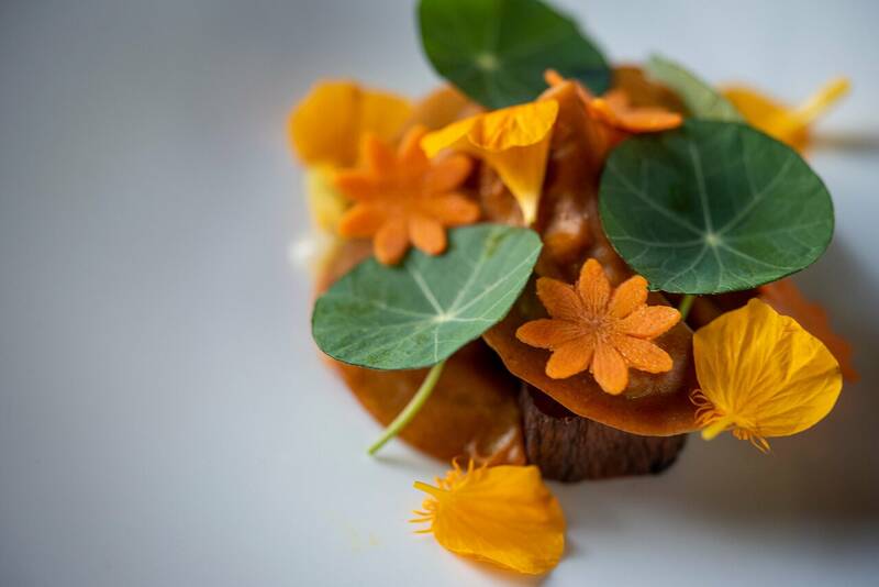 Le Vivier accepte les chiens à L'Isle-sur-la-Sorgue