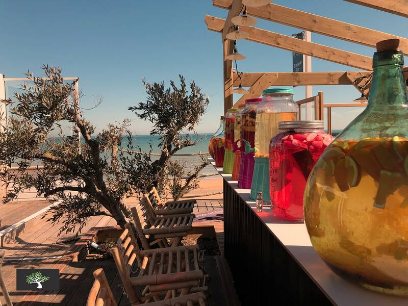 Les Terrasses du Mini Golf accepte les chiens à Luc-sur-Mer