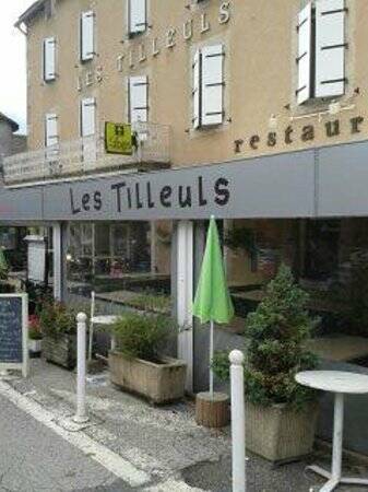 Hôtel-Restaurant Les Tilleuls de Pareloup à Salles-Curan accepte les chiens à Salles-Curan