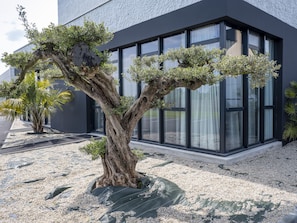 Hotel acceptant les chiens