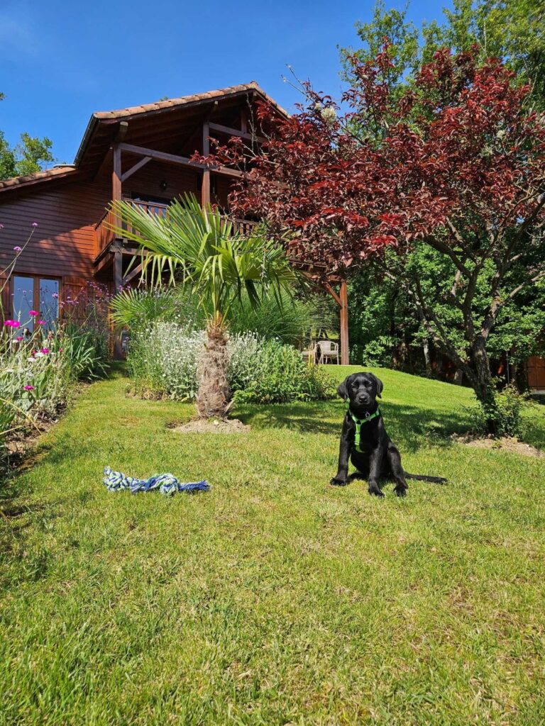 Souillac Golf & Country Club accepte les chiens à Lachapelle-Auzac