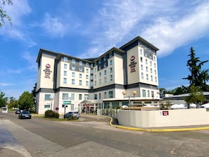 Hotel acceptant les chiens