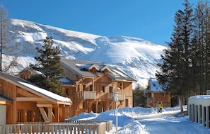 Hotel acceptant les chiens