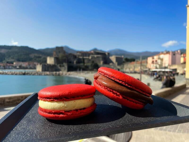 L'Insolite Brasserie Glacier accepte les chiens à Collioure