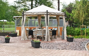 Hotel acceptant les chiens