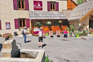 Hotel acceptant les chiens