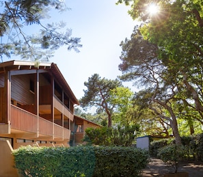 Hotel acceptant les chiens