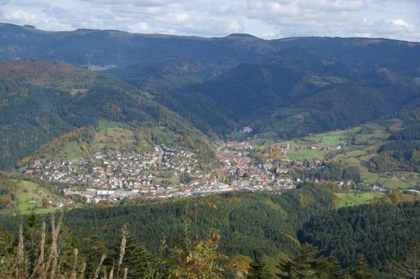 Gasthaus Finken accepte les chiens à Oppenau