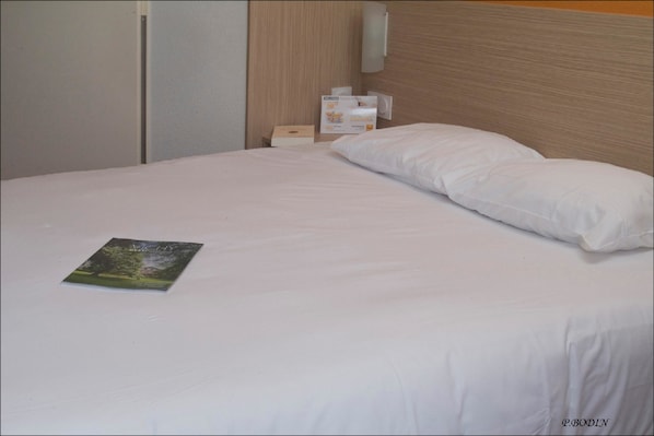 Première Classe Vichy - Bellerive sur Allier accepte les chiens à Bellerive-sur-Allier