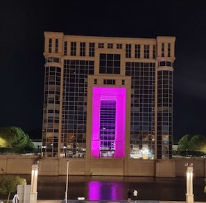 Hotel acceptant les chiens