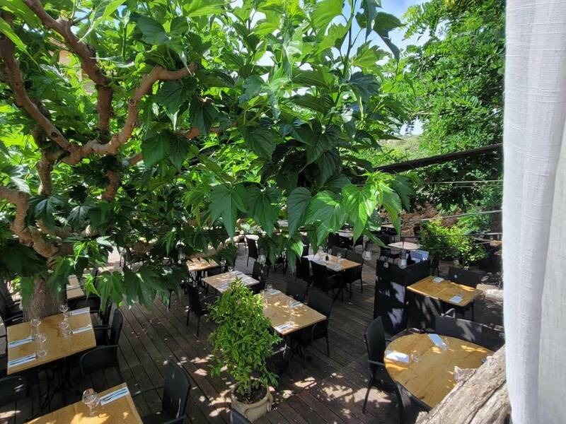 Restaurant Le Ressac accepte les chiens à Campo Moro