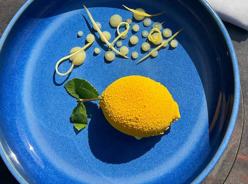 Le Versant Toulouse accepte les chiens à Toulouse