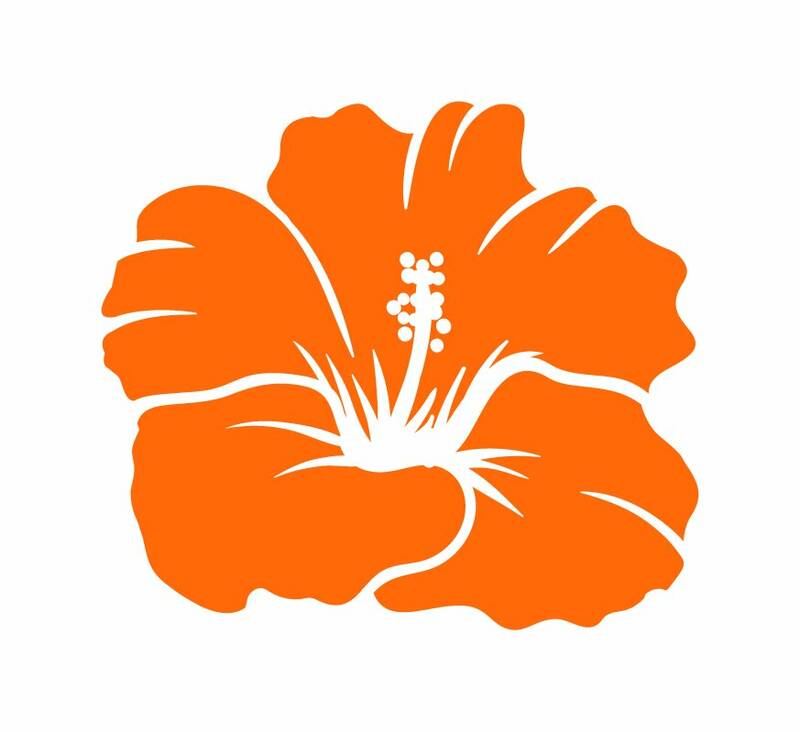 Restaurant L'hibiscus accepte les chiens à Lons-le-Saunier