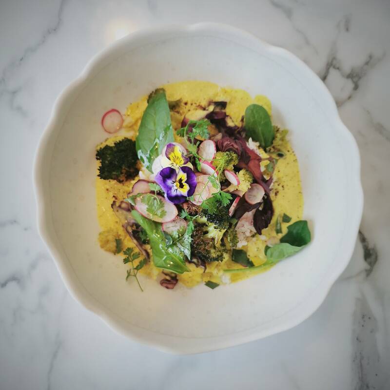 Suzani accepte les chiens à Pau