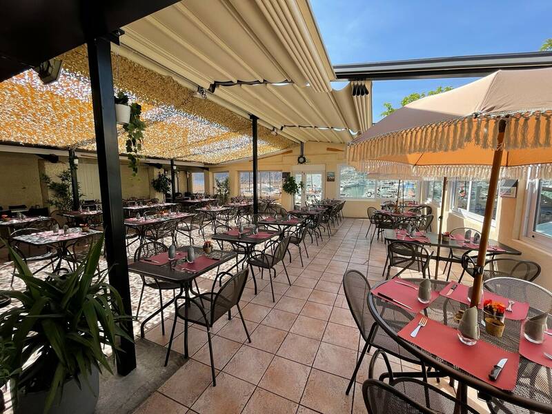 Le Nautilus accepte les chiens à Marseille