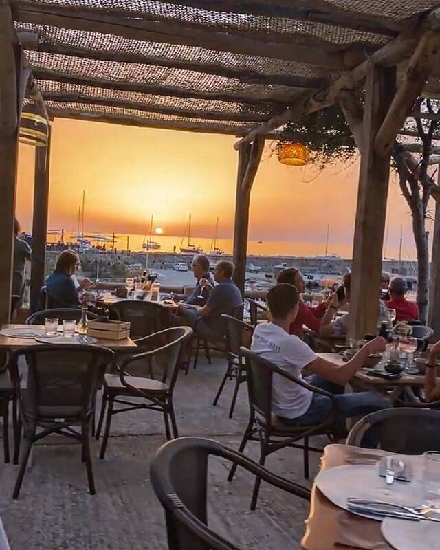 U Palmentu Port de Centuri Cap Corse accepte les chiens à Centuri
