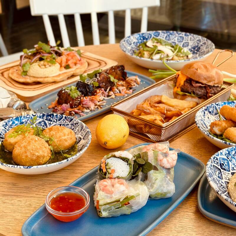 Katfys accepte les chiens à Montpellier