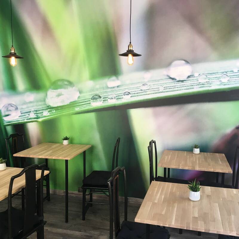 O’Lunch accepte les chiens à Bordeaux