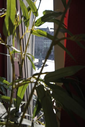 Hotel acceptant les chiens