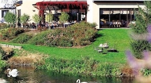 Hotel acceptant les chiens