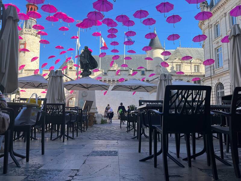 La Renaissance La Rochelle accepte les chiens à La Rochelle