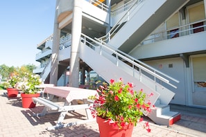 Hotel acceptant les chiens