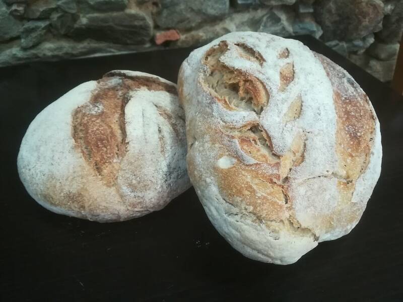 Le P'tit Canaillou accepte les chiens à Le Busseau