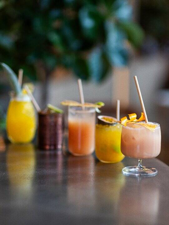 Pampa Restaurant accepte les chiens à Lyon