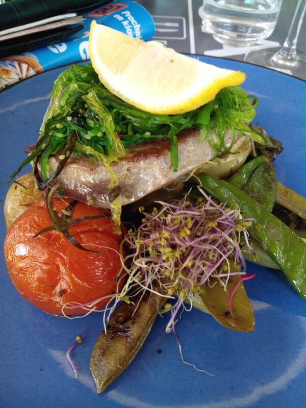 La Cantine accepte les chiens à Nîmes