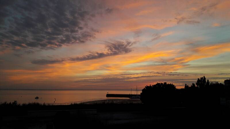 L'Archipel accepte les chiens à Fouras
