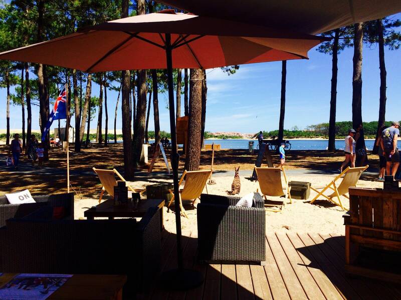 Le brooms accepte les chiens à Soustons