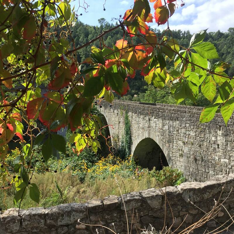 Le Bar du Pont accepte les chiens à Chambonas