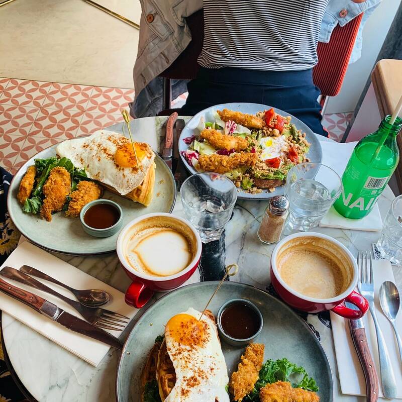 Immersion République accepte les chiens à Paris