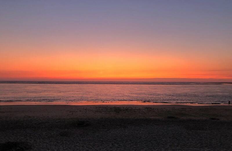 Restaurant La Lagune accepte les chiens à La Teste-de-Buch