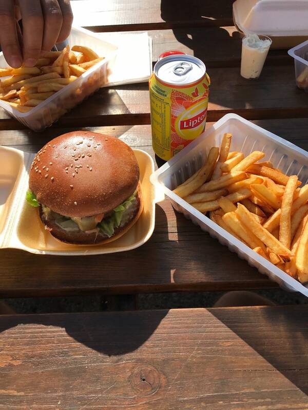 Midi Minuit Mimizan Plage accepte les chiens à Mimizan